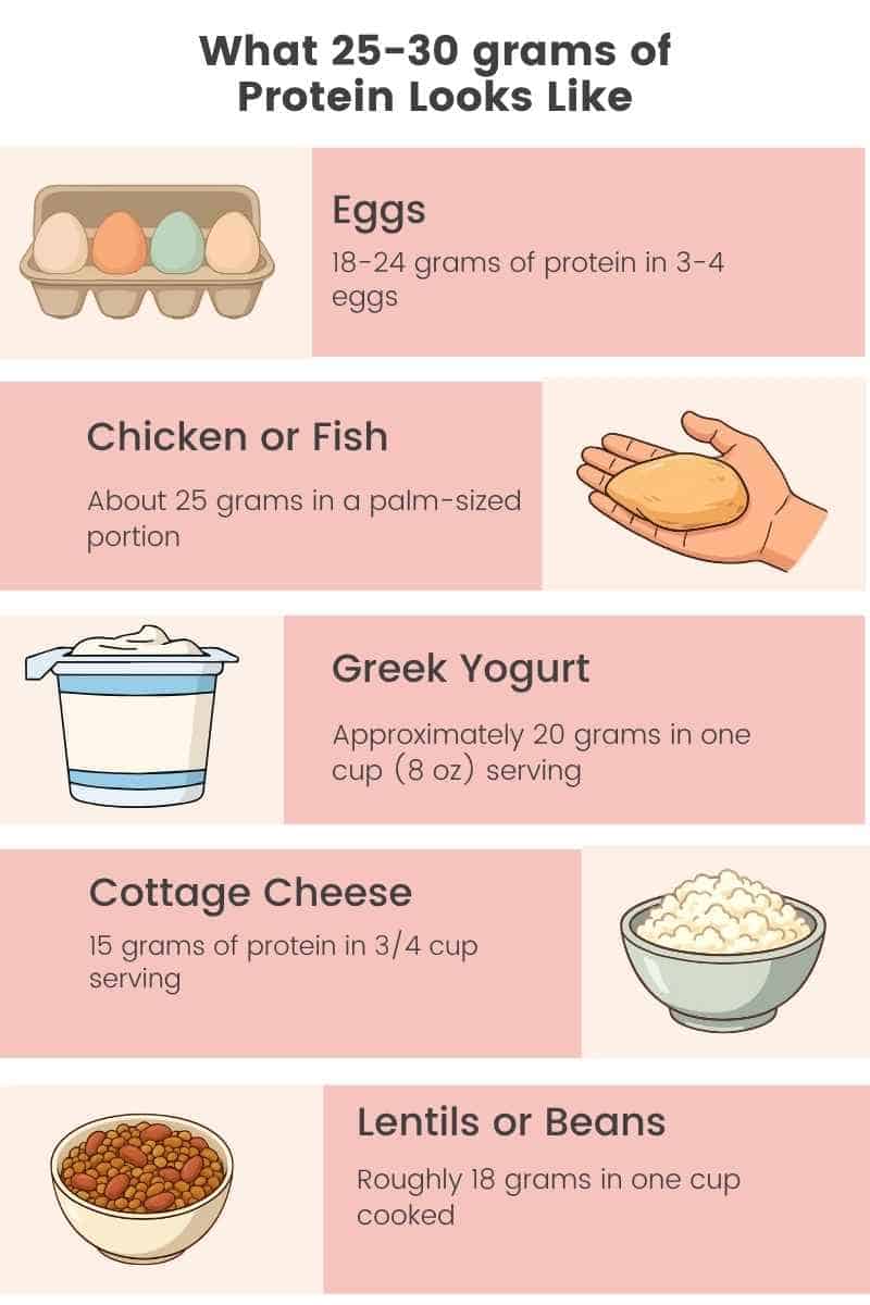 What 25-30 grams of protein looks like on your plate - registered dietitian guide